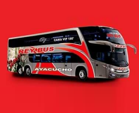 Rey Bus