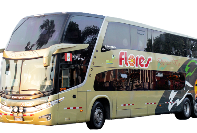 Transporte Flores