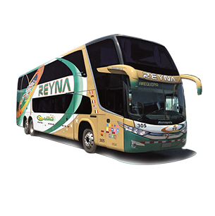 Transporte Reyna